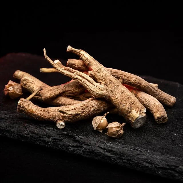 Ashwagandha gyökerek és termések sötét kövön